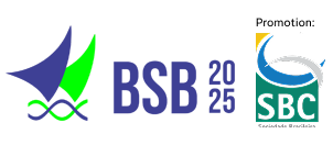 BSB 2025
