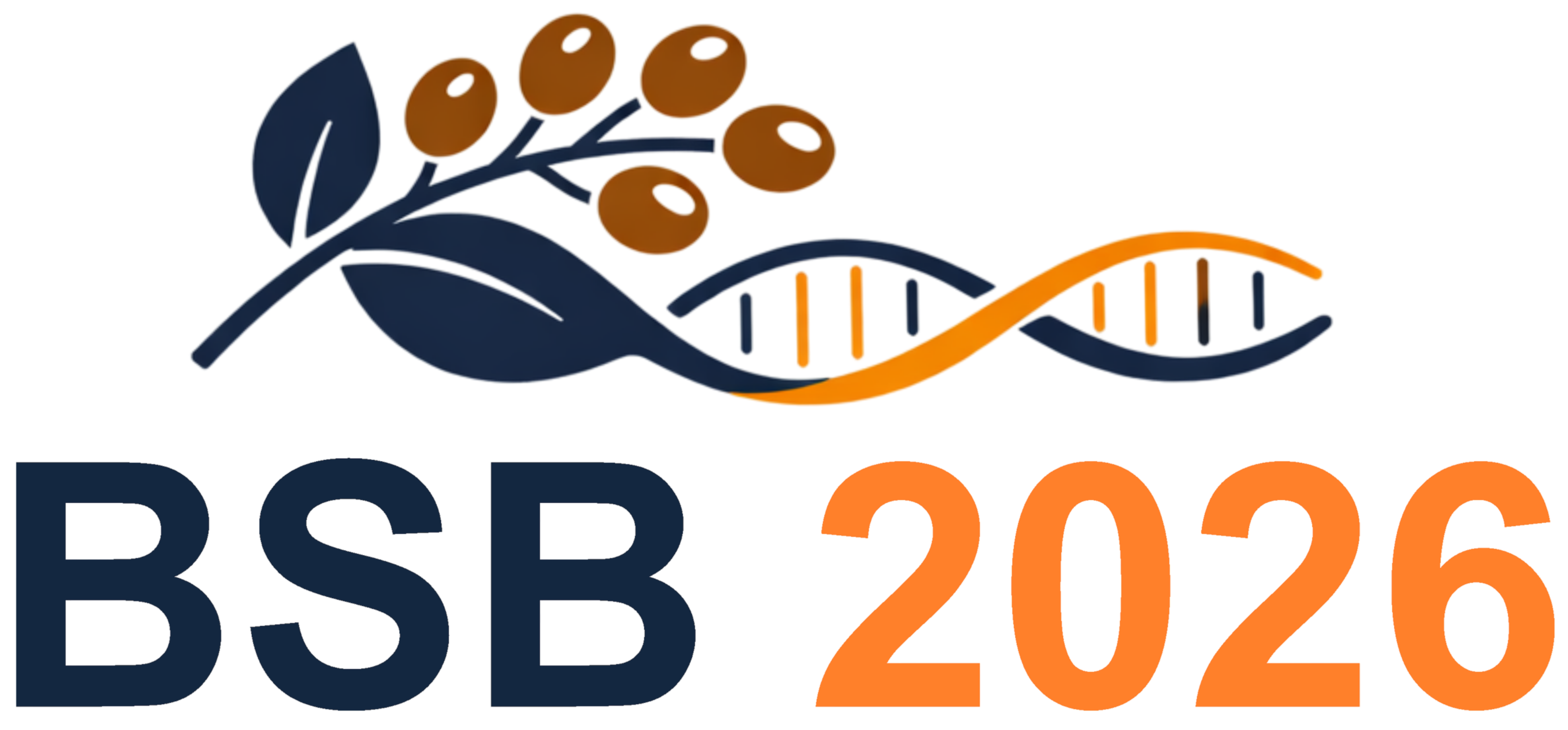 BSB 2026